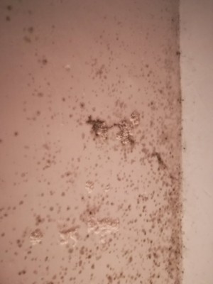 IMG_20181206_204301.jpg